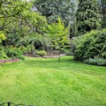 green grass field with trees